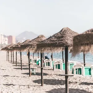 South Nature , Málaga Espagne